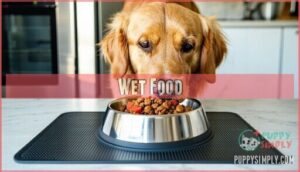 wet food