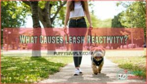 what causes leash reactivity