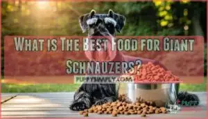 what is the best food for giant schnauzers