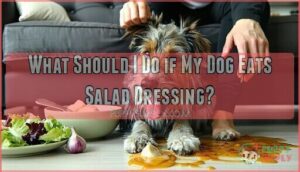what should i do if my dog eats salad dressing