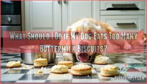 what should i do if my dog eats too many buttermilk biscuits