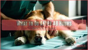 what to do after 48 hours