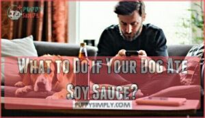 what to do if your dog ate soy sauce