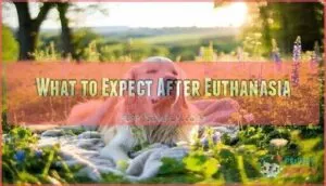 what to expect after euthanasia