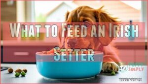 what to feed an irish setter