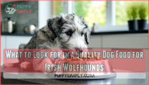 what to look for in a quality dog food for irish wolfhounds