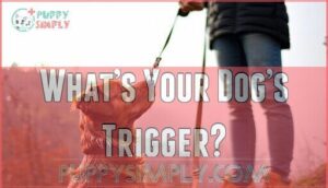 what’s your dog’s trigger