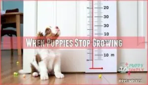 when puppies stop growing