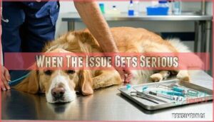 when the issue gets serious