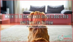 when to be concerned about a dog's red and swollen bottom