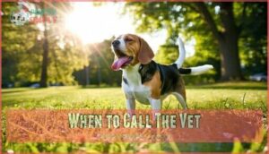 when to call the vet