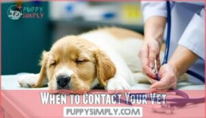when to contact your vet