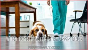 when to seek veterinary assistance