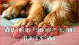 when to seek veterinary help for itchy dog paws