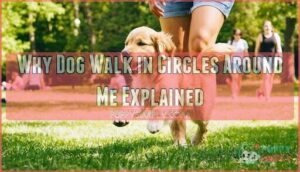 why dog walk in circles around me