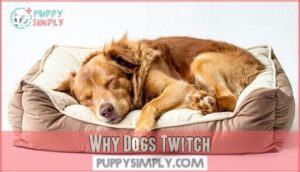 why dogs twitch