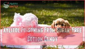 xylitol poisoning from sugar-free cotton candy