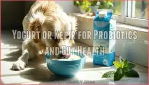 yogurt or kefir for probiotics and gut health