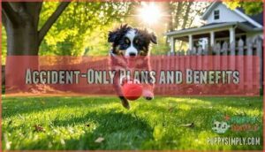 accident-only plans and benefits