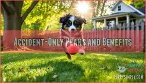 accident-only plans and benefits accident-only plans and benefits