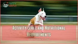 activity level and nutritional requirements