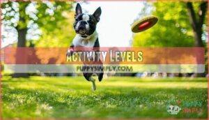 activity levels