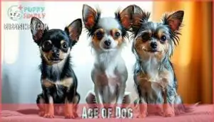age of dog