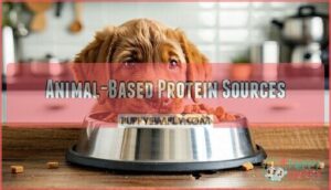 animal-based protein sources