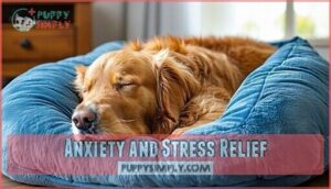 anxiety and stress relief