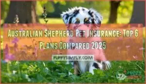 australian shepherd pet insurance