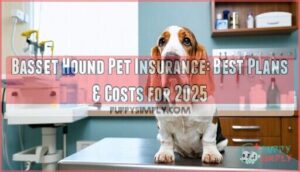 basset hound pet insurance