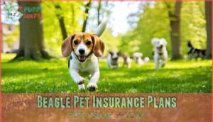 beagle pet insurance plans