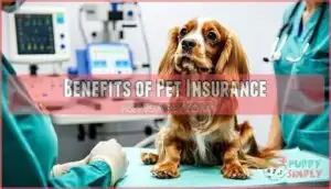 benefits of pet insurance