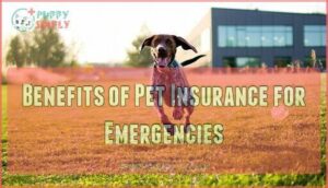 benefits of pet insurance for emergencies