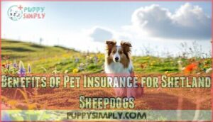 benefits of pet insurance for shetland sheepdogs