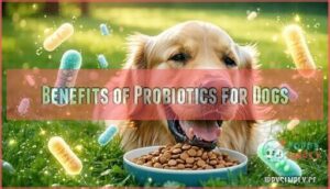benefits of probiotics for dogs