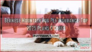 bernese mountain dog pet insurance