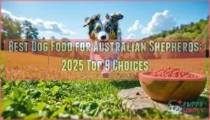best dog food for australian shepherds