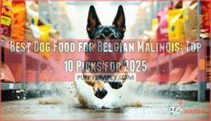 best dog food for belgian malinois