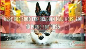 best dog food for belgian malinois