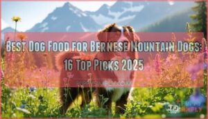 best dog food for bernese mountain dogs