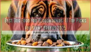 best dog food for bloodhounds best dog food for bloodhounds