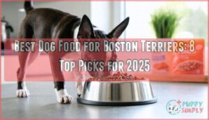 best dog food for boston terriers