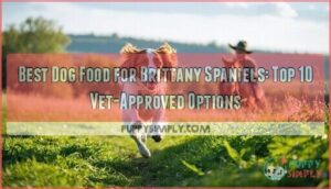 best dog food for brittany spaniels