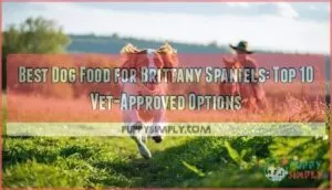 best dog food for brittany spaniels