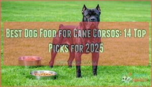 best dog food for cane corsos
