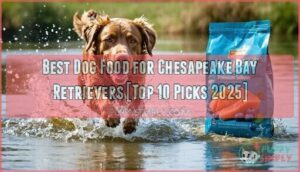 best dog food for chesapeake bay retrievers