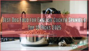 best dog food for english cocker spaniels