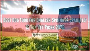 best dog food for english springer spaniels