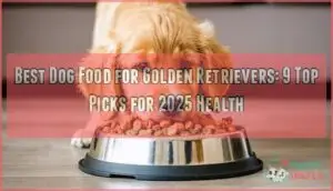 best dog food for golden retrievers